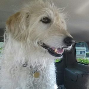 Meet your Posher, Margaret